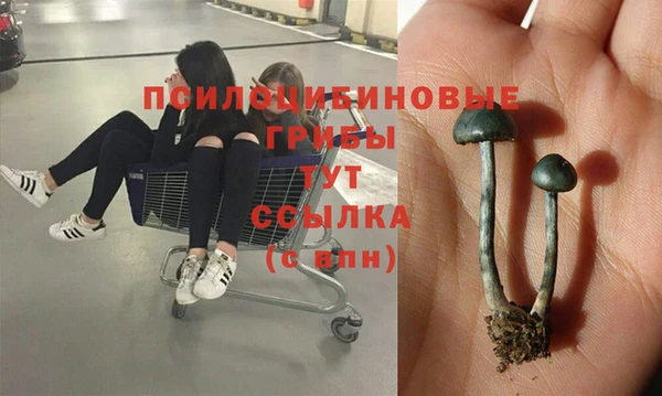 ешки Верея