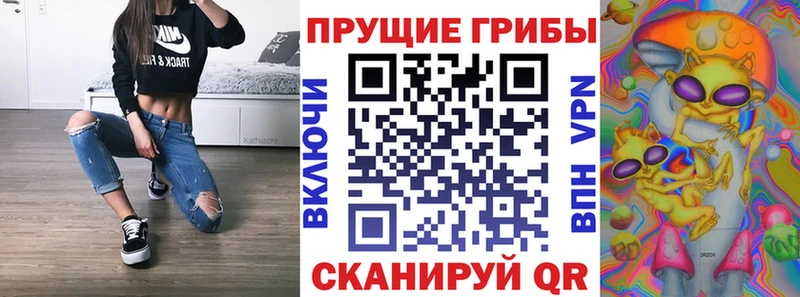 Галлюциногенные грибы GOLDEN TEACHER  Купить где  Кирс 
